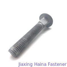 M30 M40 Carbon Steel 4.8 5.8 Round Head Long Square Neck carriage bolt
