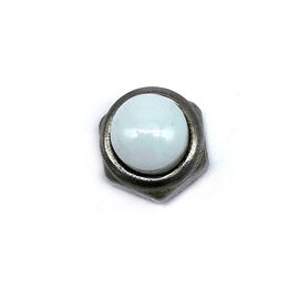 El hexágono SS304/316 de las nueces del acero inoxidable del OEM cubrió con una cúpula las tuercas ciegas de nylon blancas
