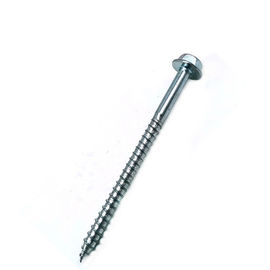 Ss304/316 tornillos penetrantes inoxidables embrujan el cinc blanco principal del reborde plateado